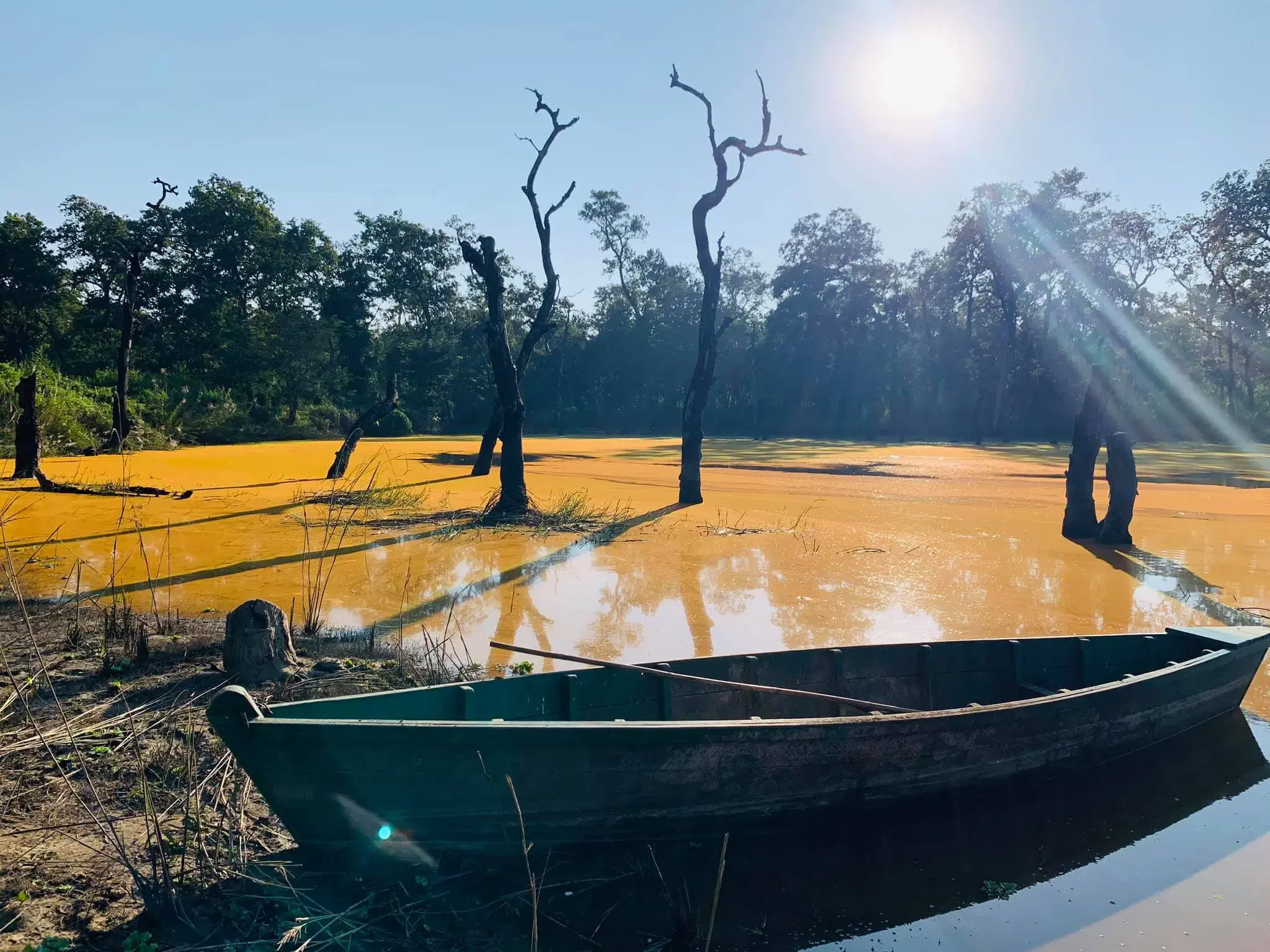 Outdoor vehicle scene featuring a vehicle, blue sky, and greenery.