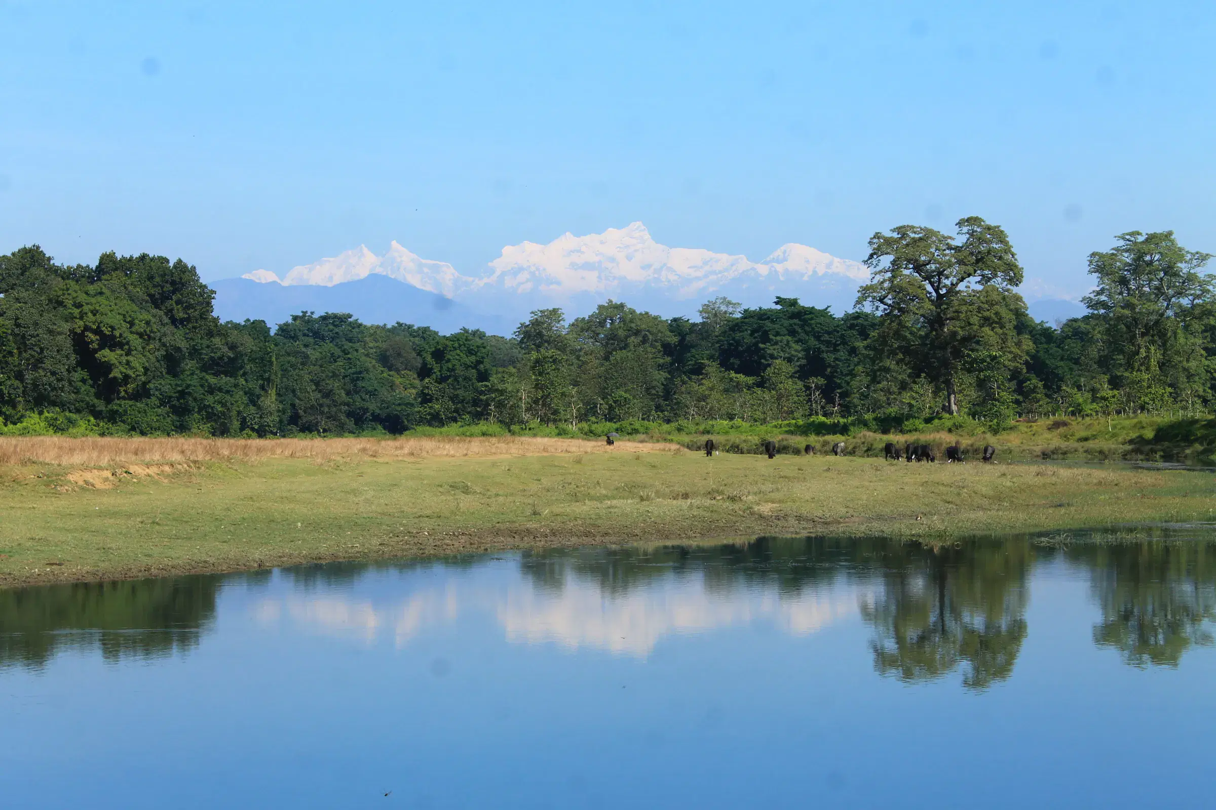 Mountain landscape featuring rocky terrain, water, blue sky, and greenery.