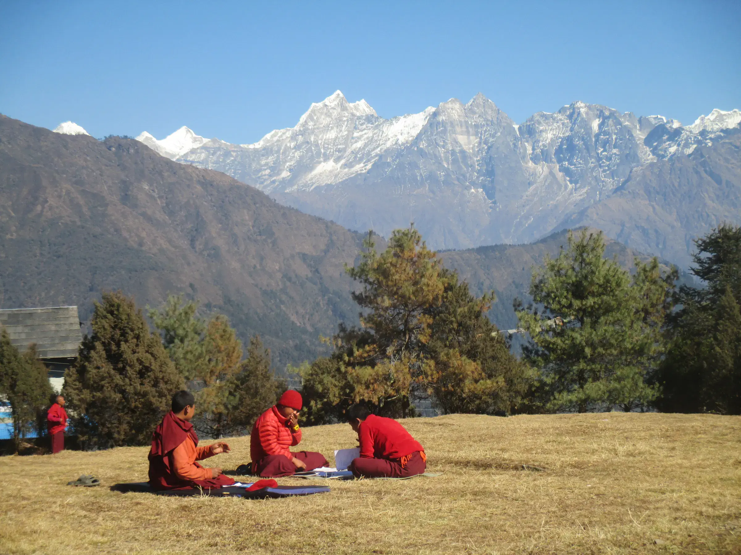 Outdoor scene featuring people, snowy terrain, blue sky, and greenery.