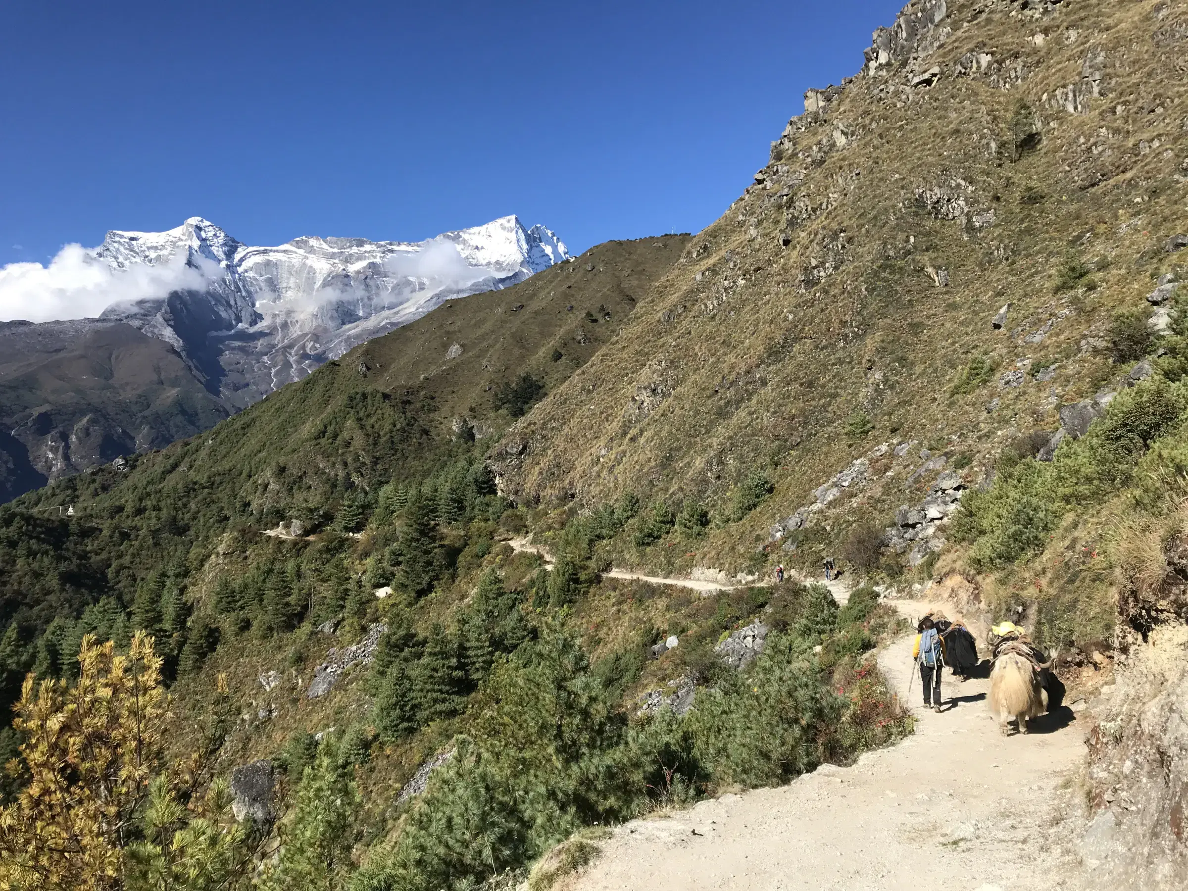 Mountain landscape featuring snowy terrain, water, and blue sky.