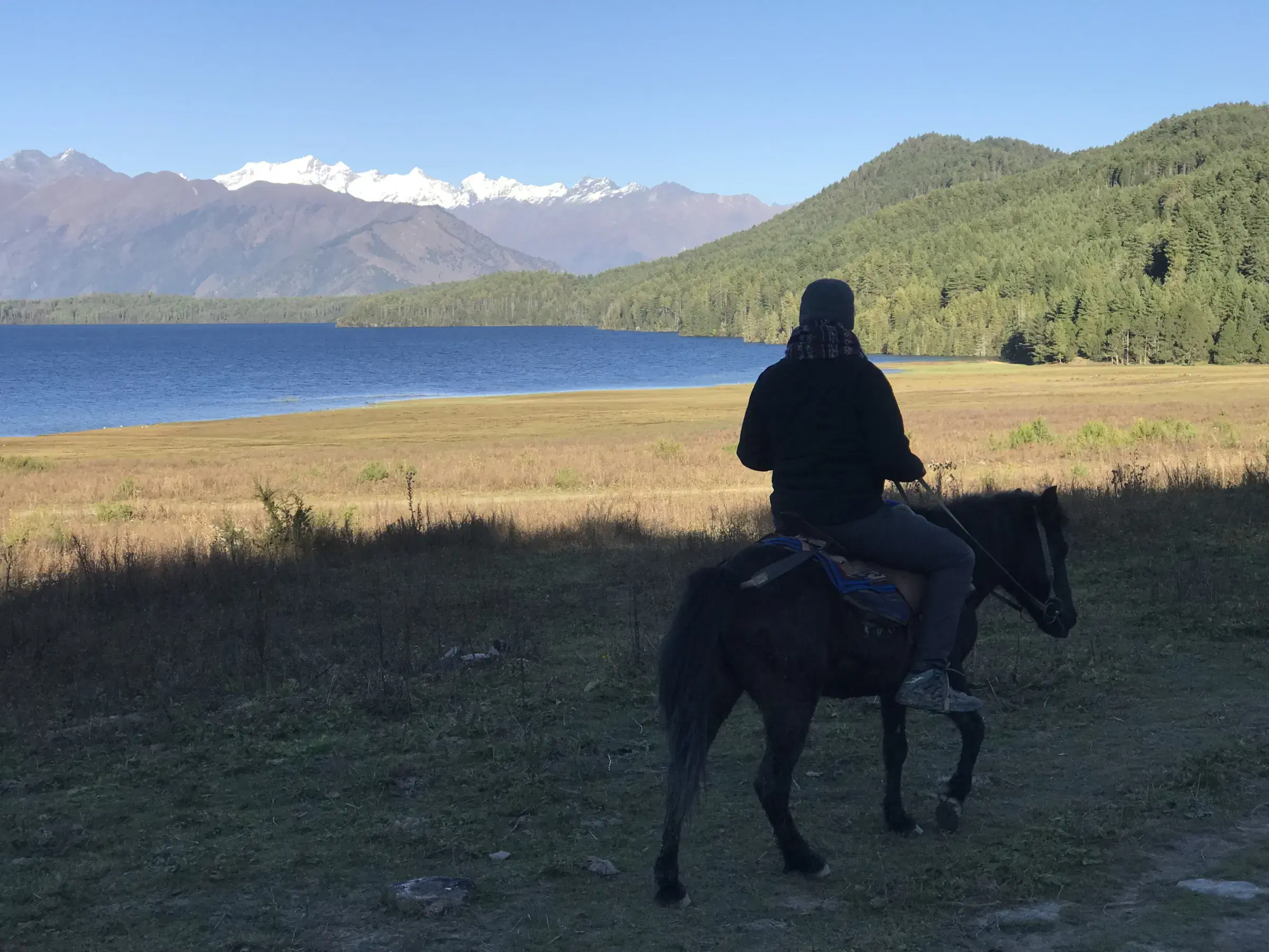 Outdoor scene featuring people, blue sky, and greenery.
