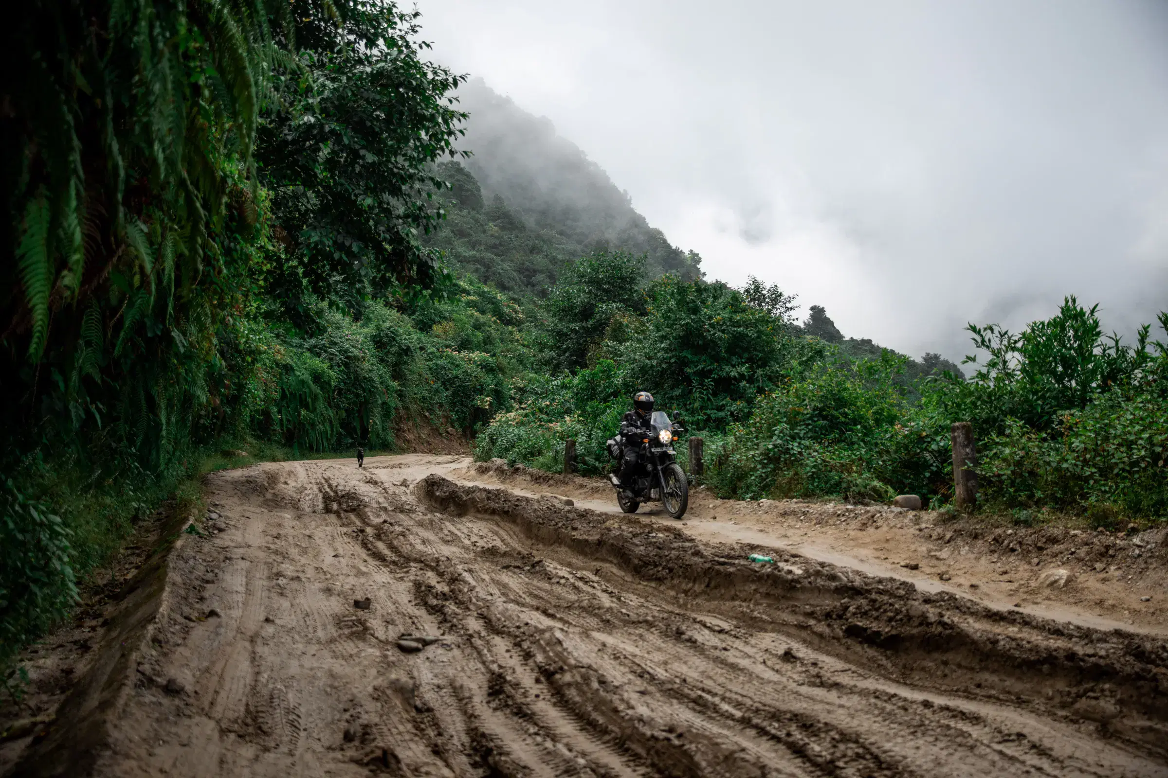 Outdoor scene featuring people.