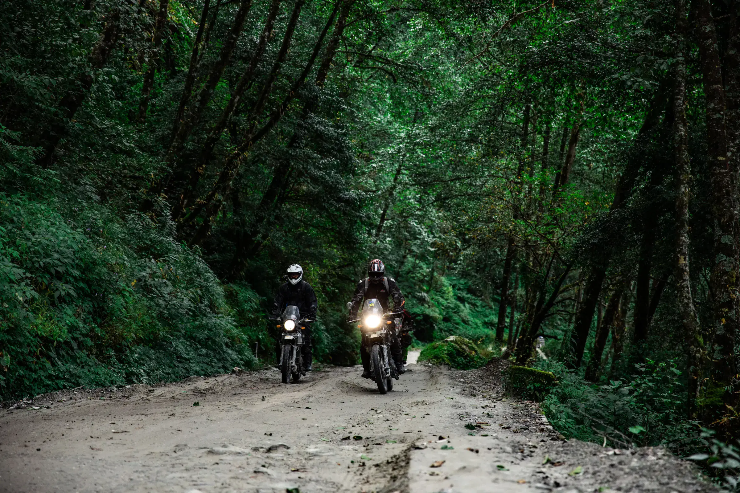 Outdoor scene featuring people and greenery.