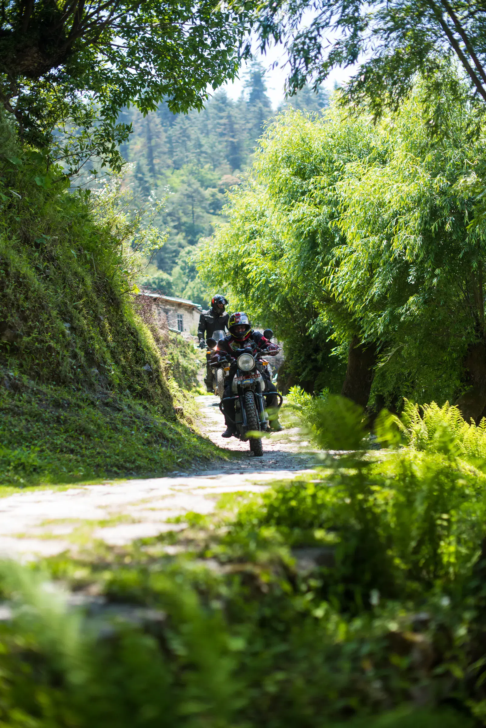 Portrait-oriented Outdoor adventure scene featuring people, a vehicle, and greenery.